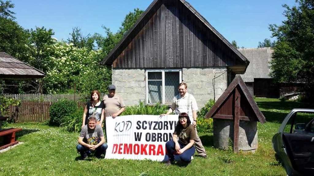 Obraz wyciętych drzew