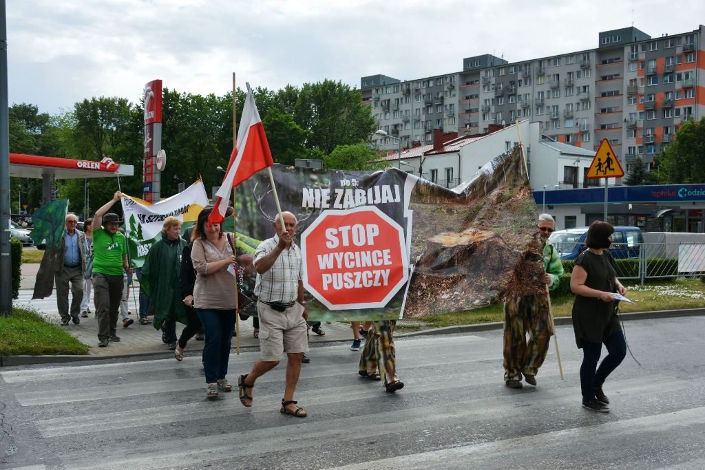 Pikieta: Stop wycince puszczy [wideo]